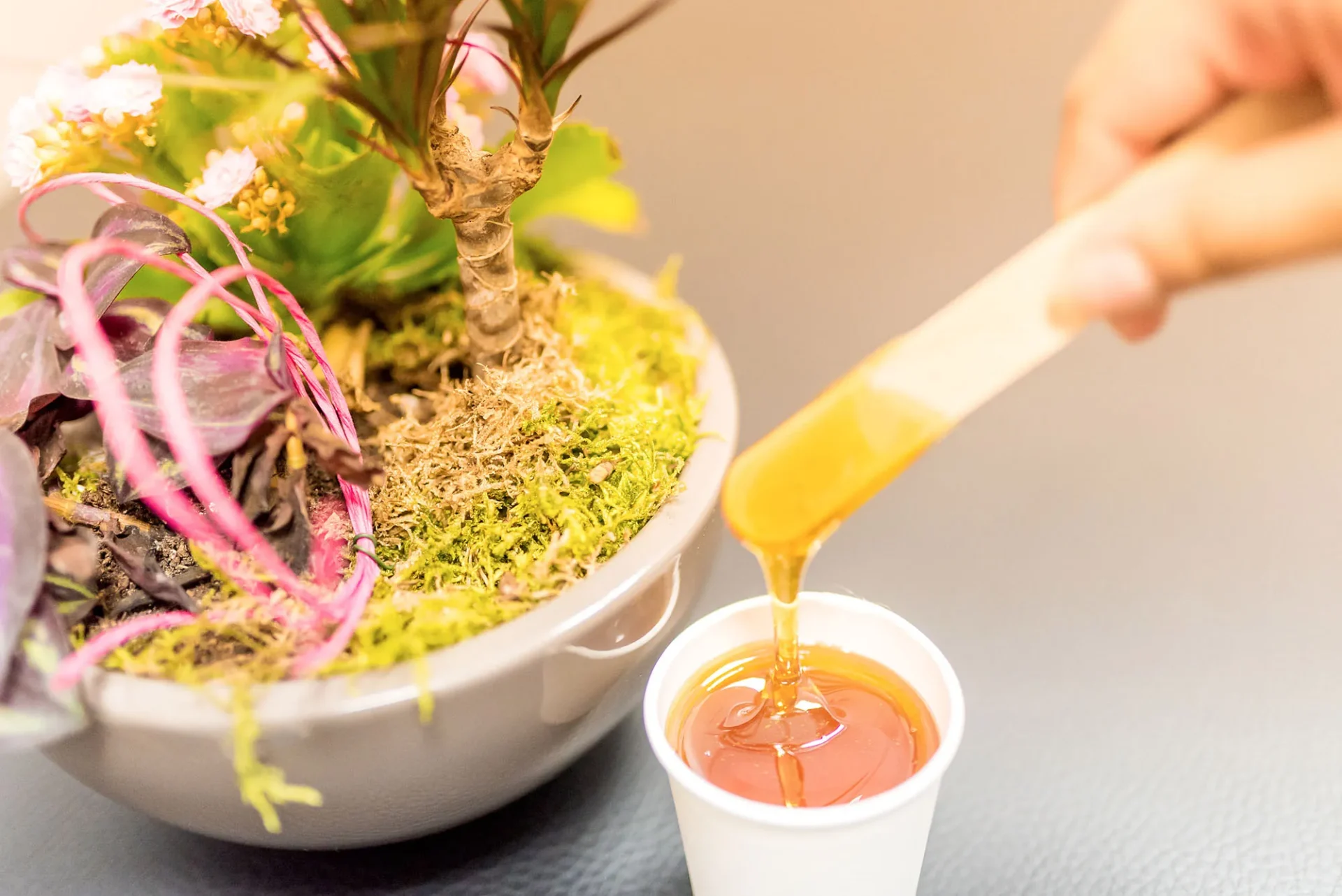 Sugaring Materialien